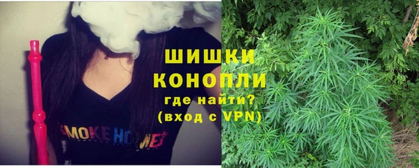 гидра Бронницы